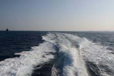 D4X_0276.JPG