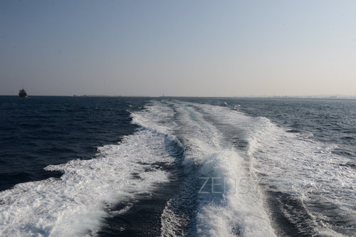 D4X_0276.JPG