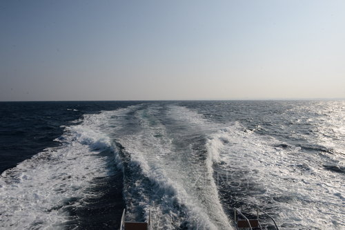 D4X_0277.JPG