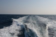 D4X_0278.JPG