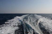 D4X_0279.JPG