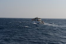 D4X_0286.JPG