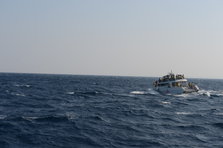 D4X_0287.JPG
