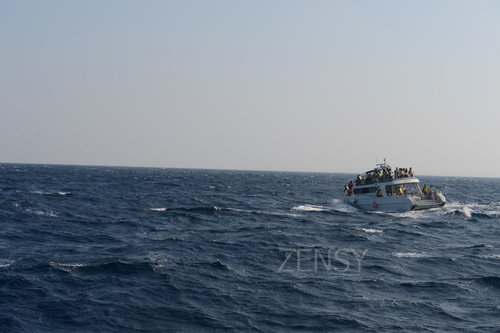 D4X_0287.JPG