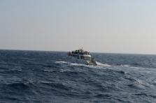 D4X_0288.JPG
