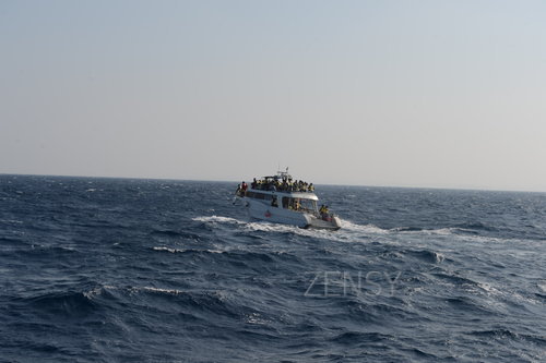 D4X_0288.JPG