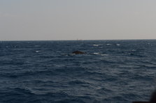 D4X_0321.JPG