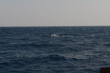 D4X_0324.JPG