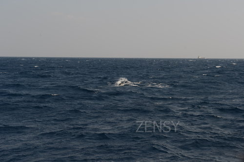 D4X_0330.JPG