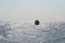 D4X_0332.JPG