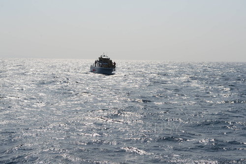 D4X_0333.JPG