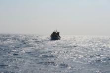 D4X_0335.JPG