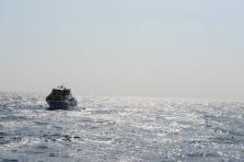D4X_0336.JPG