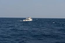D4X_0339.JPG