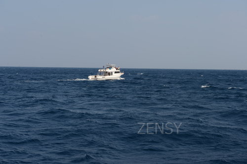 D4X_0339.JPG