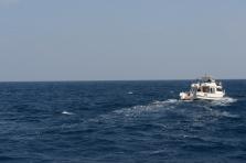 D4X_0340.JPG