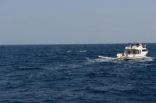 D4X_0343.JPG