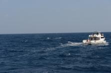 D4X_0344.JPG