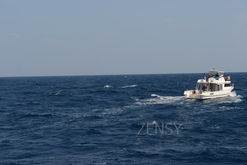 D4X_0344.JPG