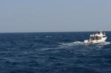 D4X_0345.JPG
