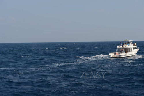 D4X_0345.JPG