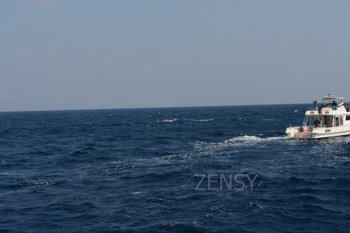 D4X_0346.JPG