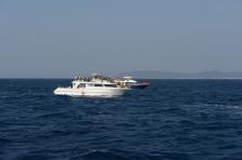 D4X_0347.JPG