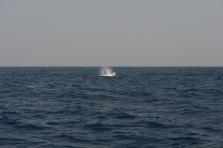 D4X_0351.JPG
