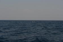 D4X_0358.JPG