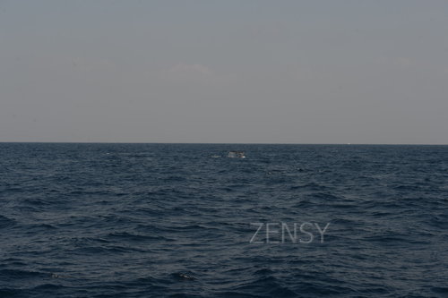 D4X_0358.JPG
