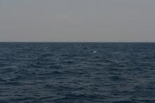 D4X_0360.JPG