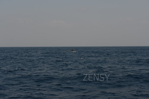 D4X_0363.JPG