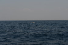 D4X_0364.JPG