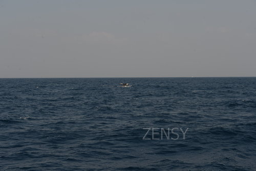 D4X_0364.JPG
