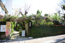 D4X_0409.JPG