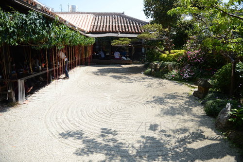 D4X_0411.JPG