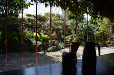 D4X_0413.JPG
