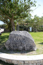 D4X_0416.JPG
