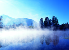 554_001.jpg