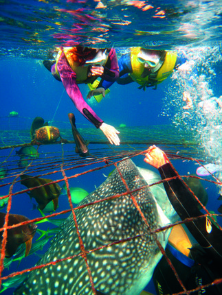 6－IMG_0930.jpg