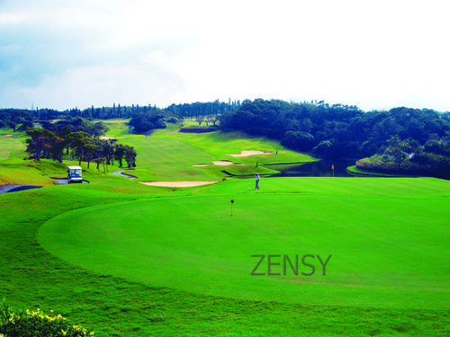golf1.jpg