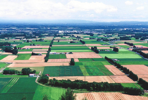 嵐山展望台2