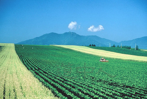 剣山