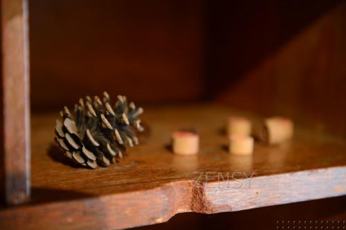 D4X_1083.JPG