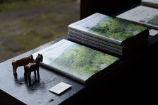 D4X_1188.JPG