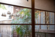 D4X_1288.JPG