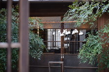 D4X_1345.JPG