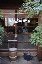 D4X_1347.JPG