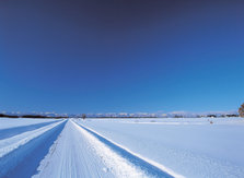 雪原
