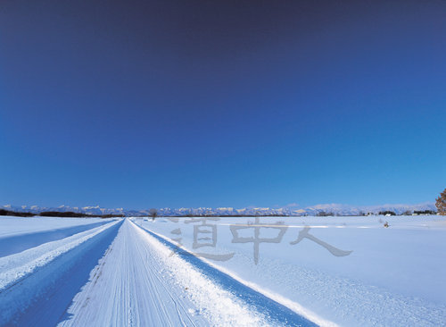 雪原